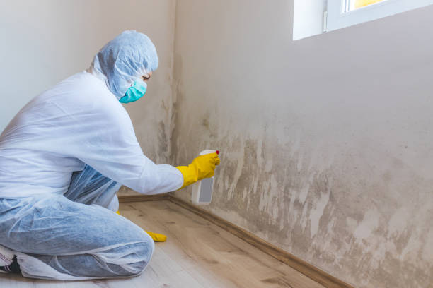 Mold Remediation specialist working in Elizabeth City