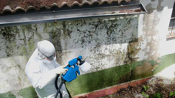 Mold Remediation service in Elizabeth City, Elizabeth City, NC